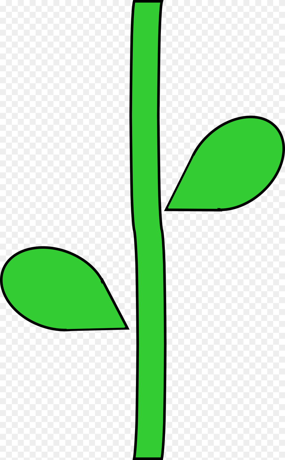 Flower Stem, Leaf, Plant, Herbal, Herbs Png Image