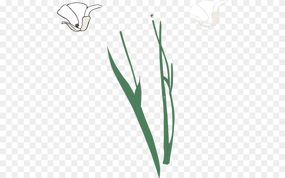 Flower Stem Clipart Black And White, Plant Free Png