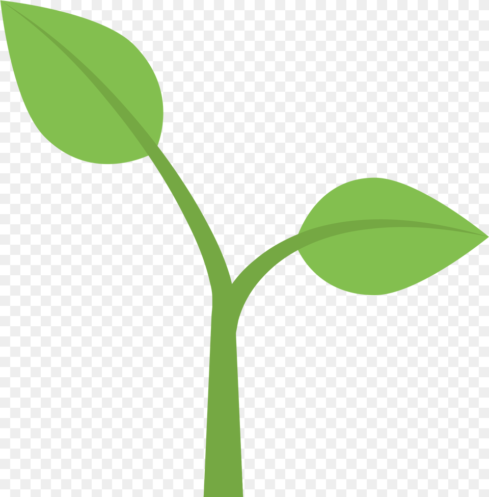 Flower Stem Template 1 Buy Clip Art Plant Emoji, Leaf, Sprout Free Png Download