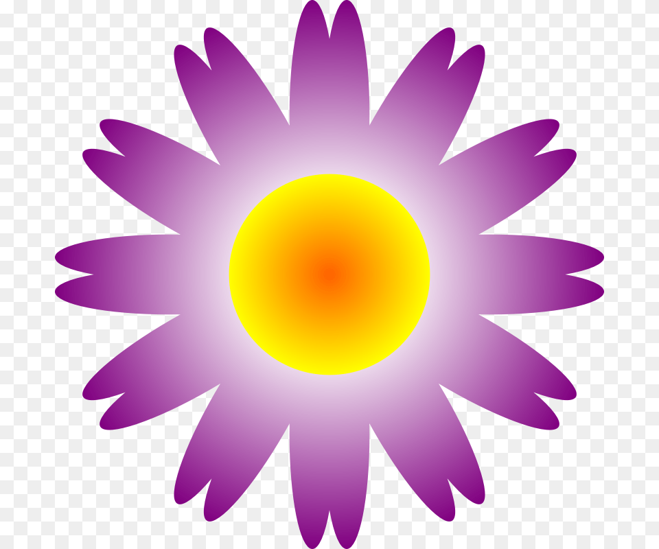 Flower Stock Photography, Plant, Daisy, Petal, Anemone Png Image