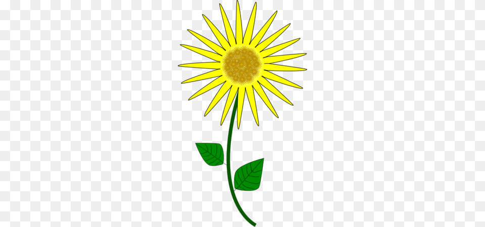 Flower Sunflower Clipart, Daisy, Plant, Petal Free Png Download
