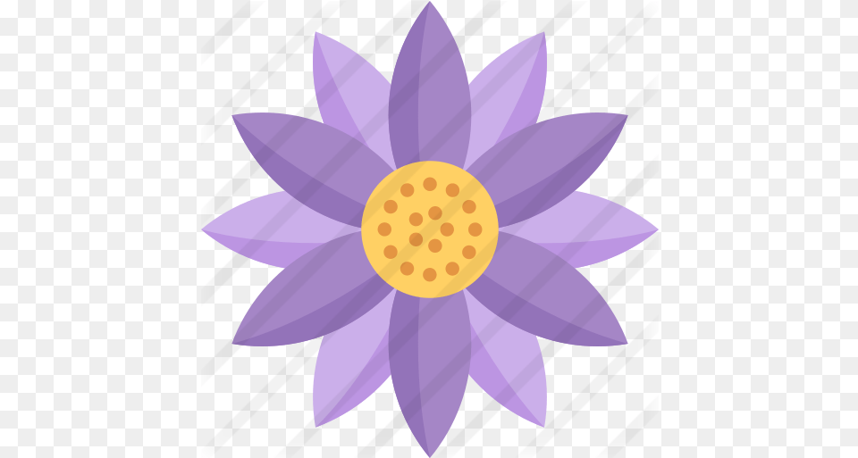 Flower Sunflowers, Dahlia, Plant, Daisy, Lily Png