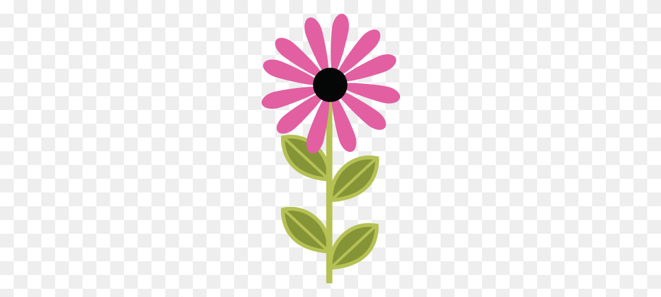 Flower Svgs, Daisy, Petal, Plant Free Png