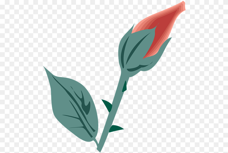 Flower Symbol Icon Free On Pixabay Tulip, Sprout, Plant, Bud, Rose Png