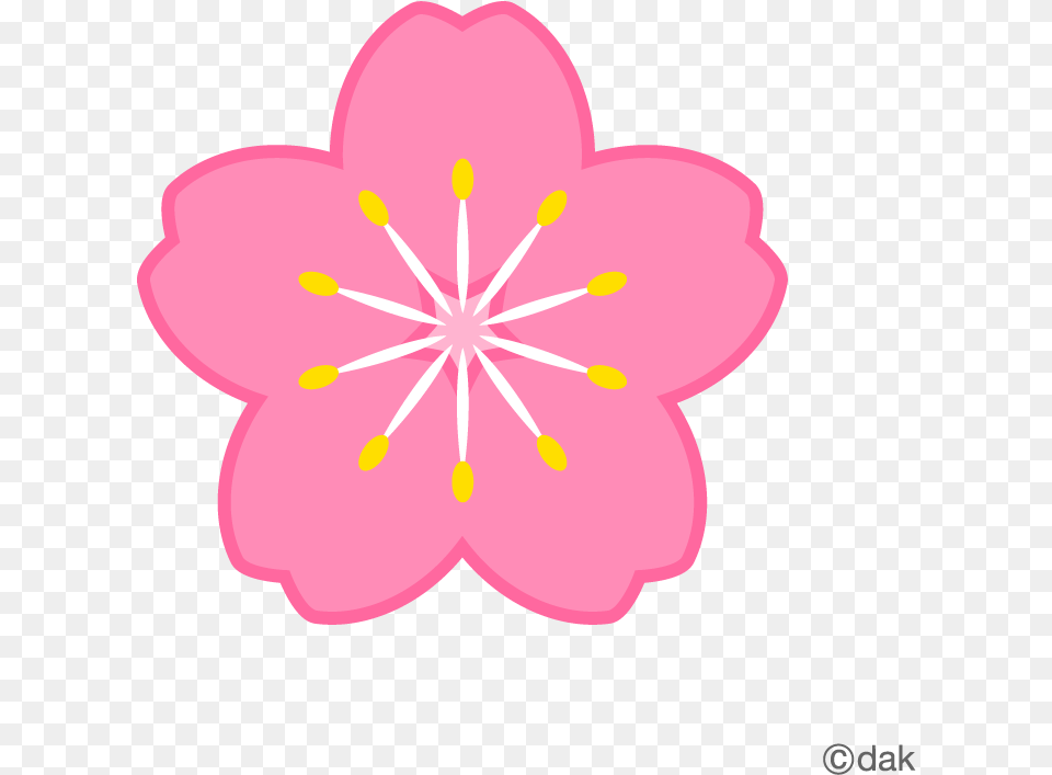 Flower Symbol Of The Cherry Of Clipart, Anther, Petal, Plant Free Png Download