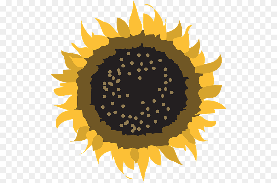 Flower Symbol Sun Nature Design Sign Natural Mooiweer, Plant, Sunflower, Face, Head Free Png Download