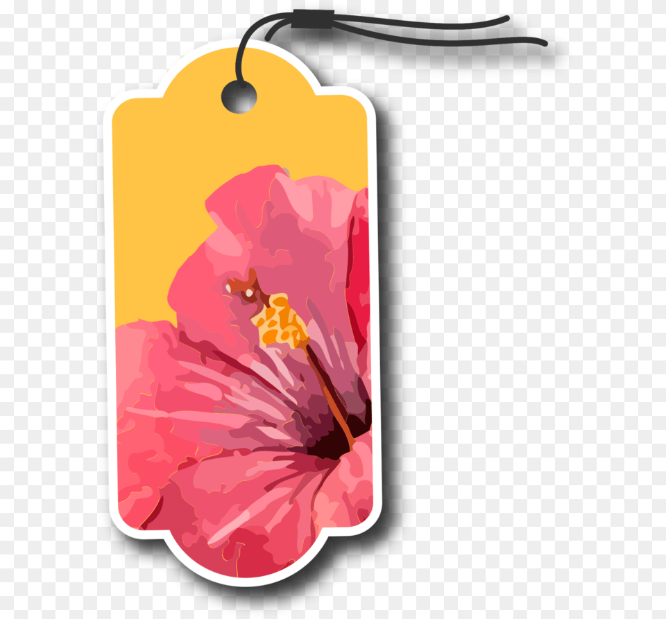 Flower Tag With Transparent Background Shoeblackplant, Plant, Anther, Hibiscus, Dynamite Free Png