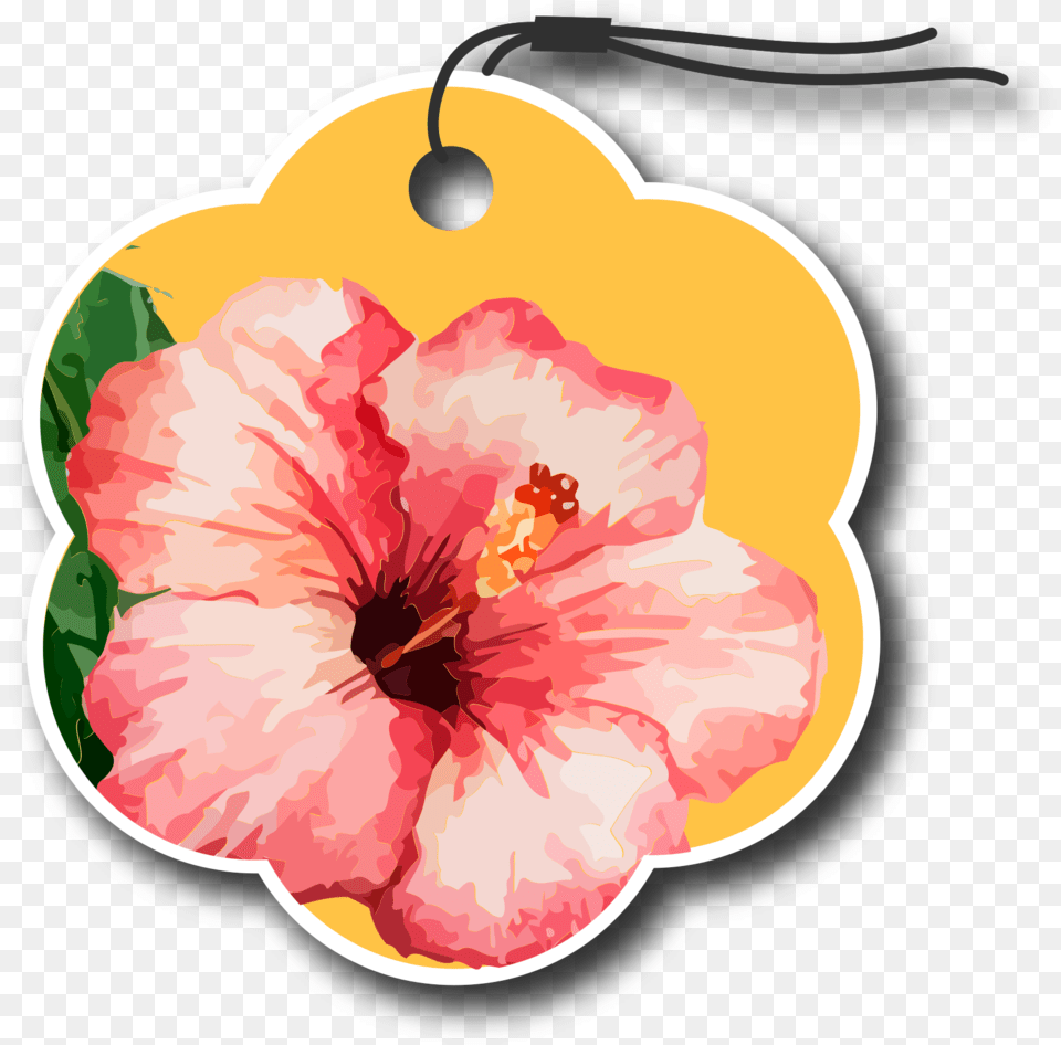 Flower Tag With Background Shoeblackplant, Hibiscus, Plant Free Transparent Png