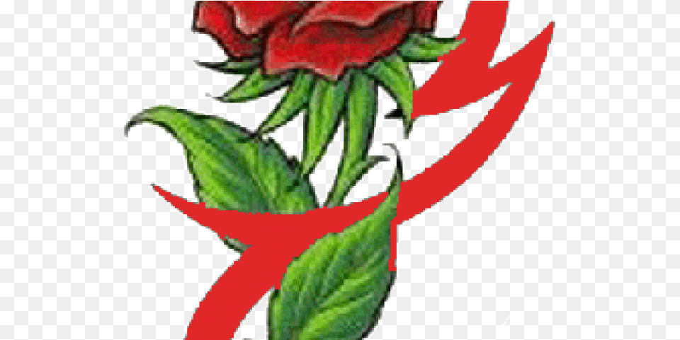 Flower Tattoo Transparent Small Colour Rose Tattoo Design, Plant, Leaf, Petal Free Png Download