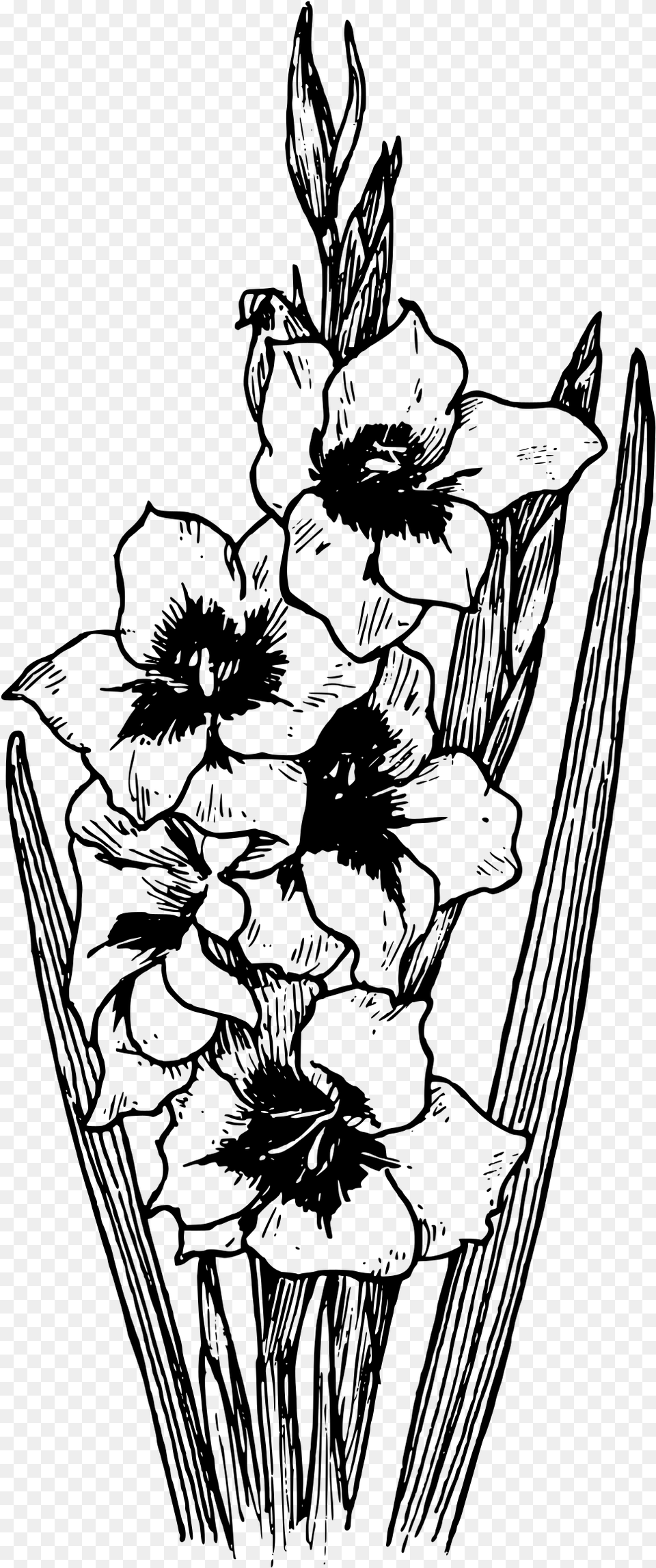 Flower Tattoos Gladiolus Black And White, Gray Png Image