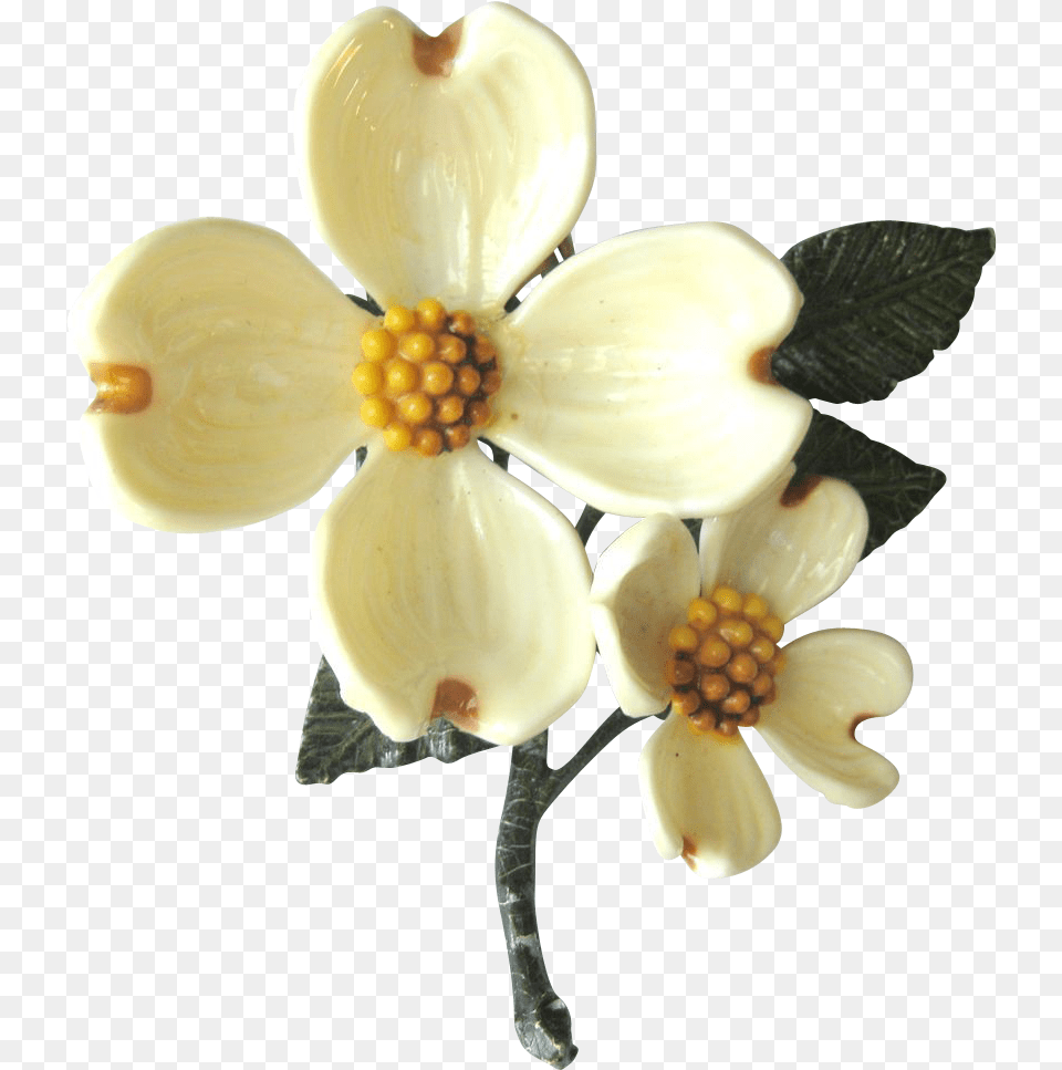Flower Transparent Dogwood Transparent Glass Dogwood Flower, Accessories, Petal, Plant, Anther Png Image