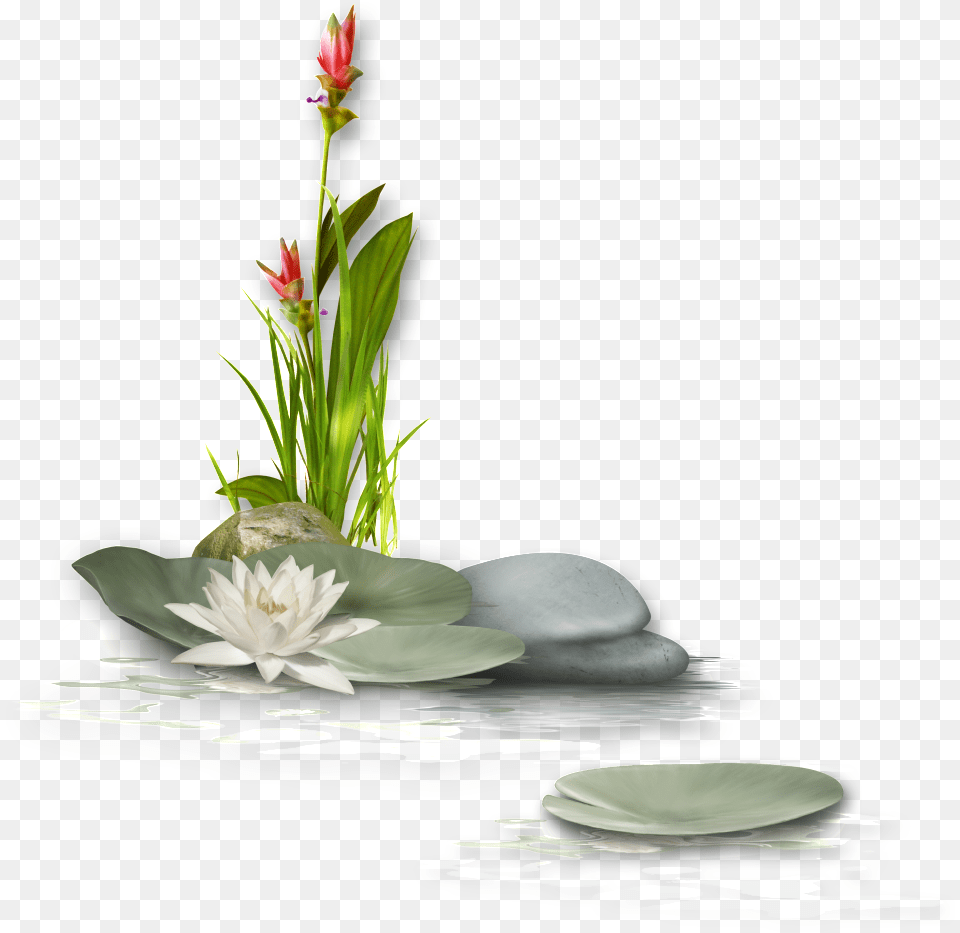 Flower Transparent On Lotus Pond Yuxi Fashion Pure999 24k Yellow Gold Pendant3d Lucky, Flower Arrangement, Flower Bouquet, Ikebana, Plant Free Png Download