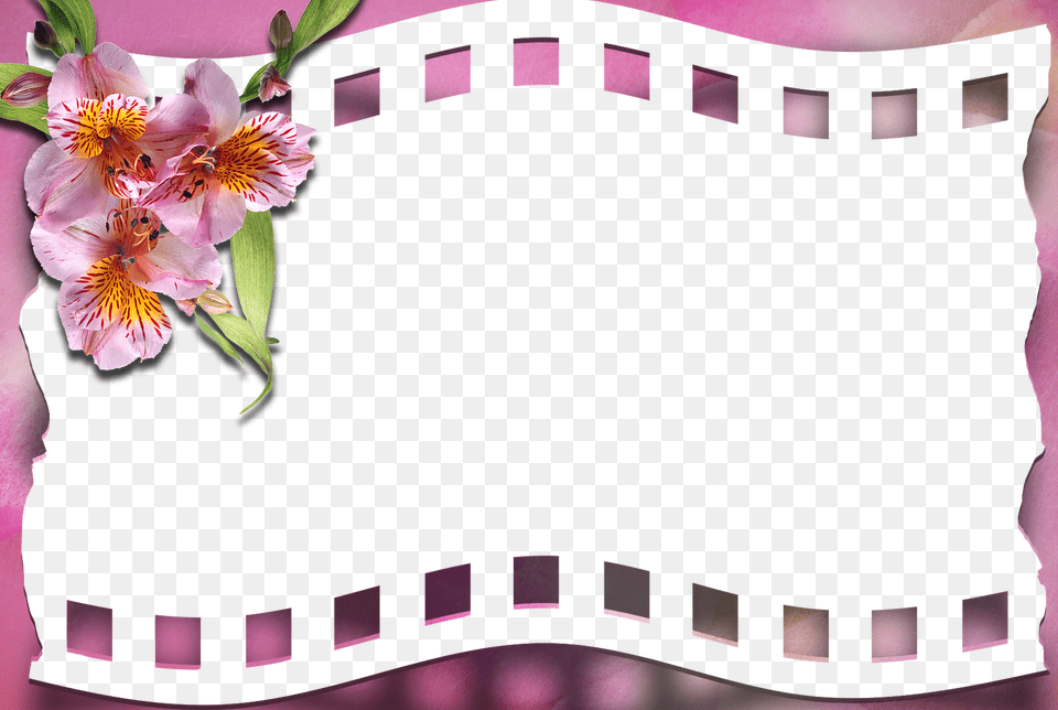 Flower Transparent Photo Frame, Plant, Cushion, Home Decor, Petal Free Png