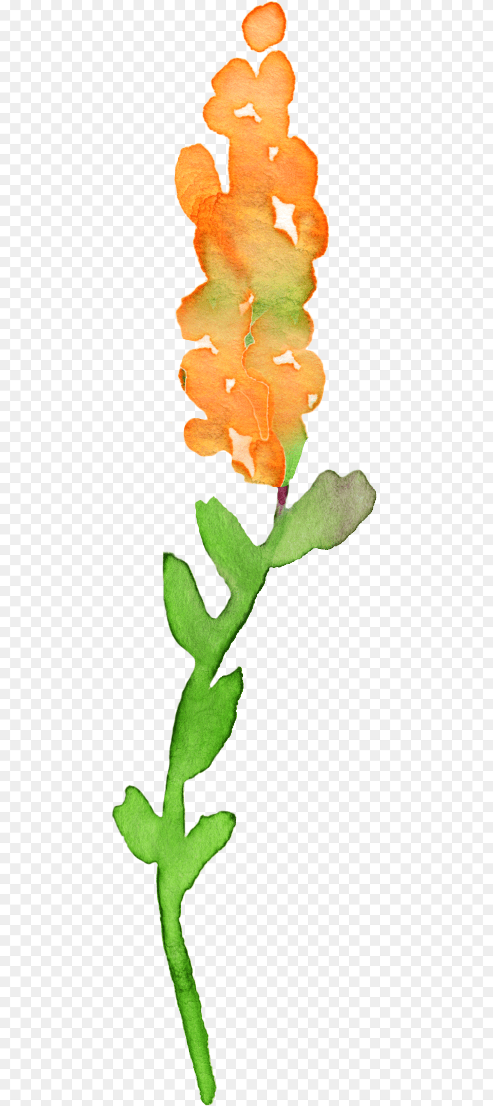 Flower Transparent Watercolor Clip Art, Leaf, Petal, Plant Png Image