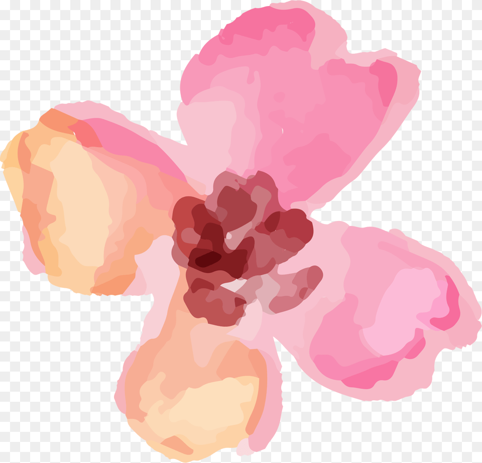 Flower Transparent Watercolour Pink, Petal, Plant, Baby, Person Free Png Download