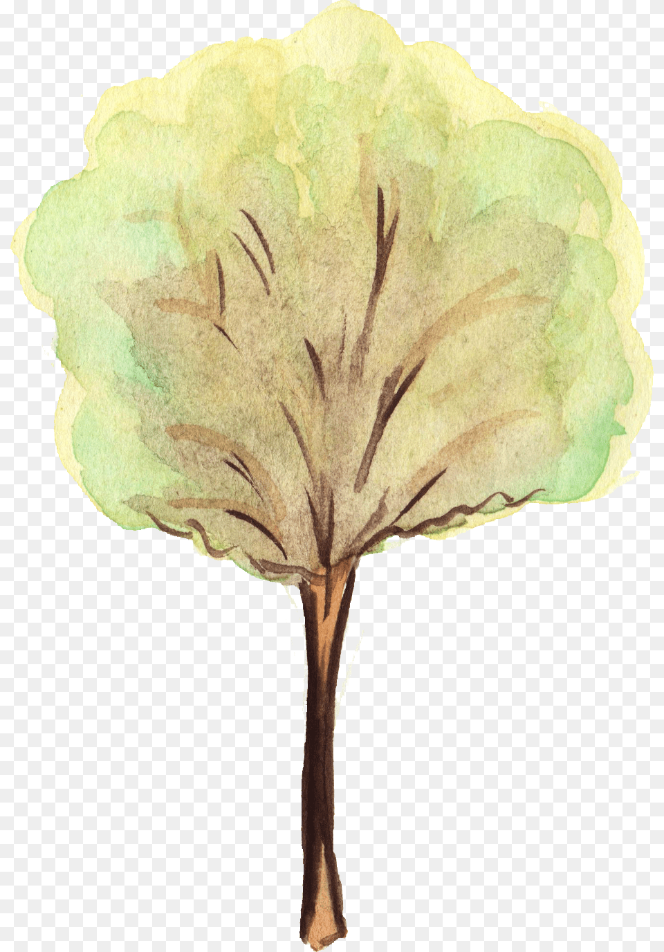 Flower Trees Watercolor Tree Background, Leaf, Plant, Art, Painting Png