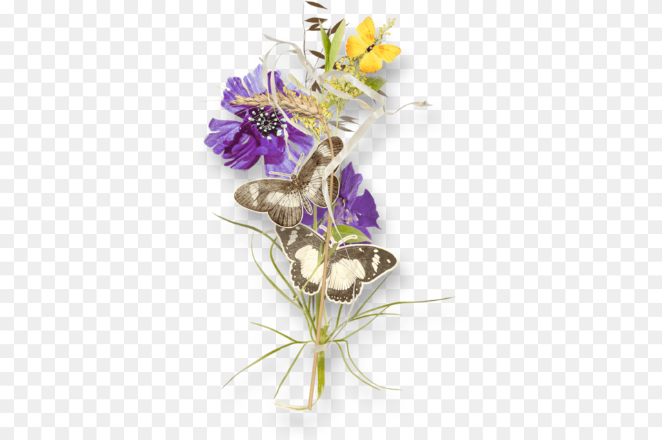 Flower Tubes Clusters, Flower Arrangement, Plant, Purple, Anemone Free Png