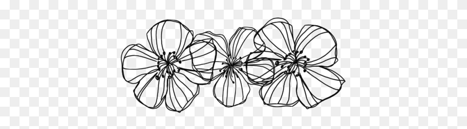 Flower Tumblr Black, Accessories, Knot, Lace Free Transparent Png