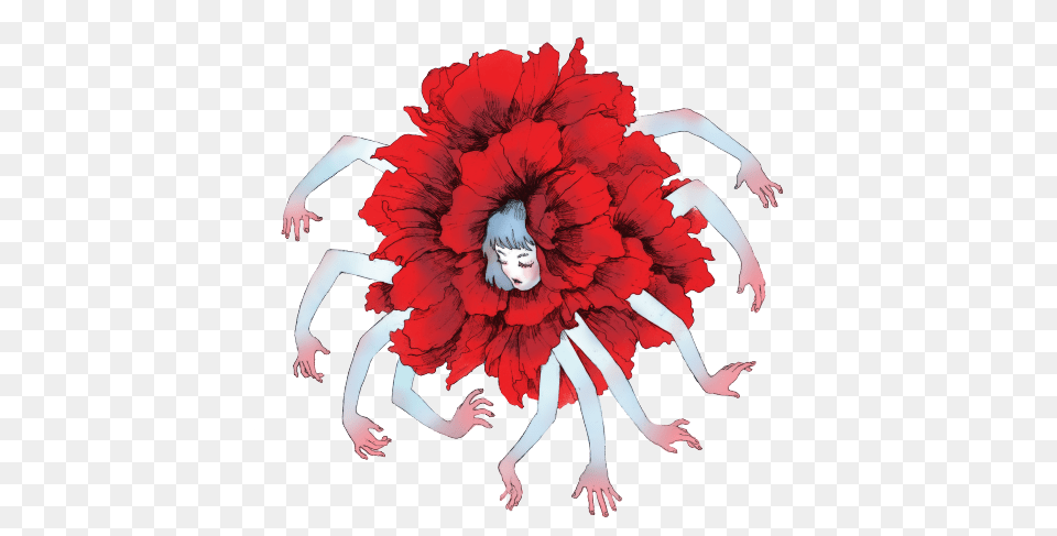 Flower Tumblr Flowers Transparent Flower Tumblr Red, Person, Plant, Dancing, Leisure Activities Png