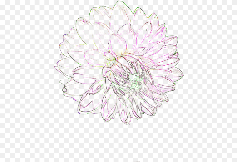 Flower Tumblr Transparent Portable Network Graphics, Dahlia, Pattern, Plant, Purple Png Image