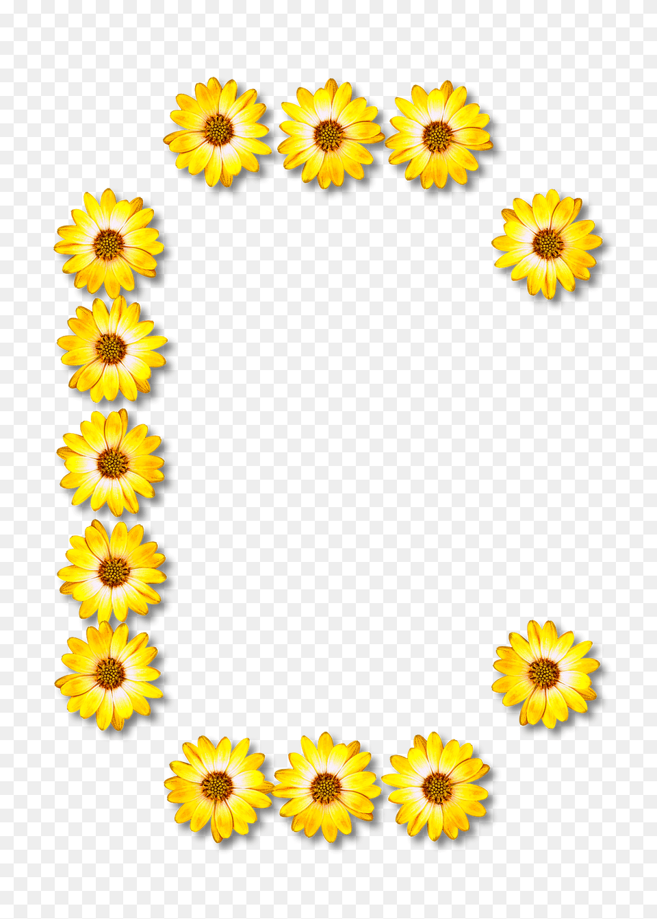 Flower Typography C Clipart, Sunflower, Plant, Petal, Daisy Free Png