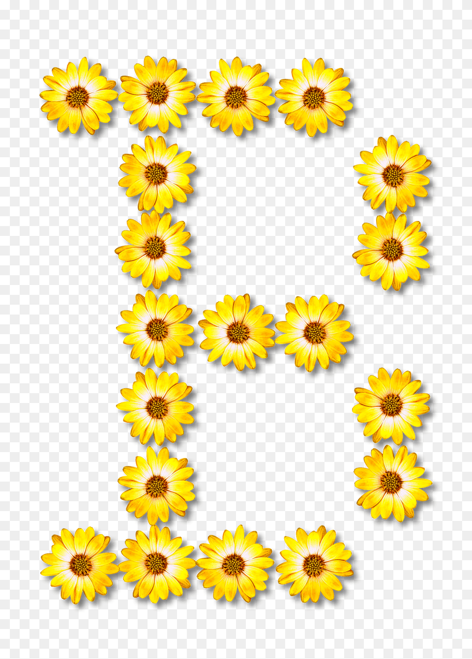 Flower Typography Clipart, Plant, Sunflower, Daisy, Petal Free Transparent Png