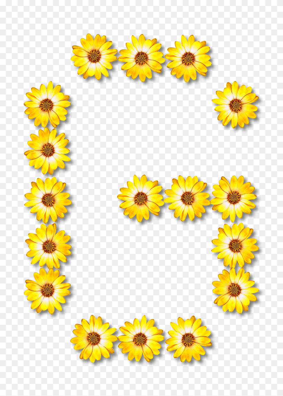 Flower Typography G Clipart, Sunflower, Plant, Daisy, Petal Png Image