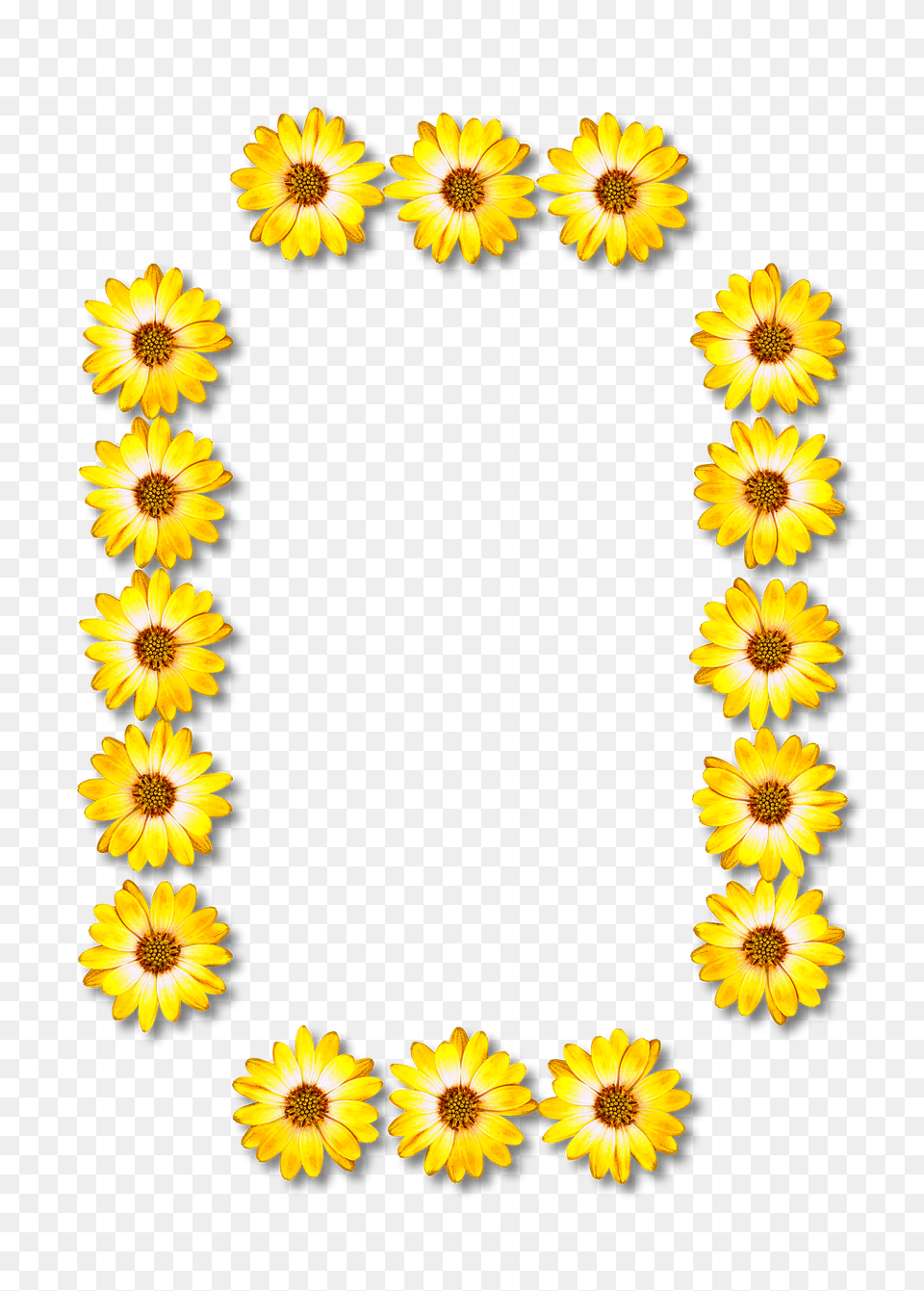 Flower Typography O Clipart, Plant, Sunflower, Petal, Daisy Free Png