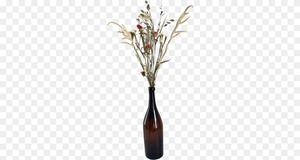 Flower Vase, Flower Arrangement, Ikebana, Jar, Plant Png Image