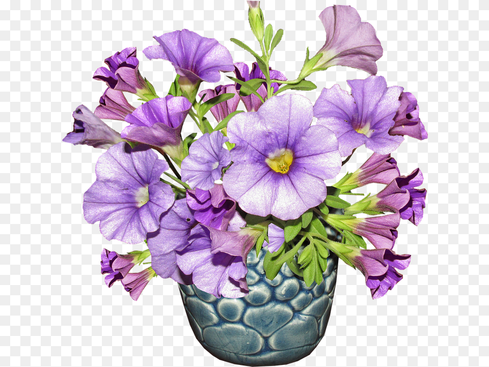 Flower Vase Arrangement Purple Flowers In Vase, Flower Arrangement, Flower Bouquet, Geranium, Plant Png
