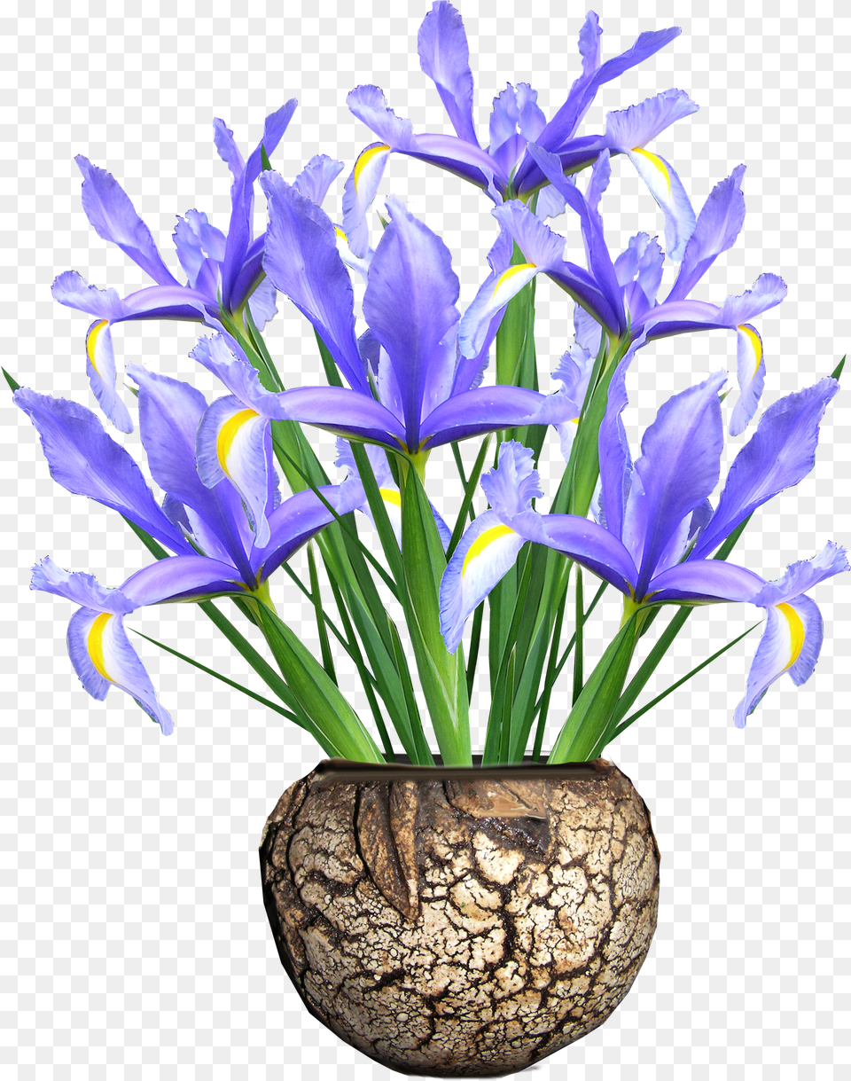 Flower Vase Blue Png