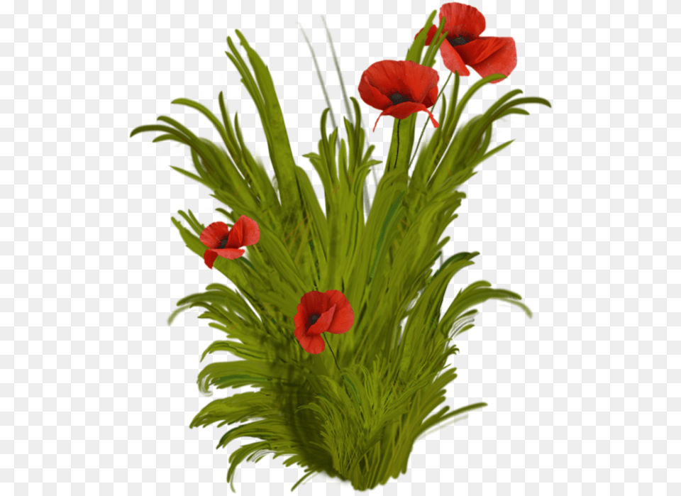 Flower Vase Celebrating March Birthdays, Flower Arrangement, Plant, Flower Bouquet, Petal Free Png Download