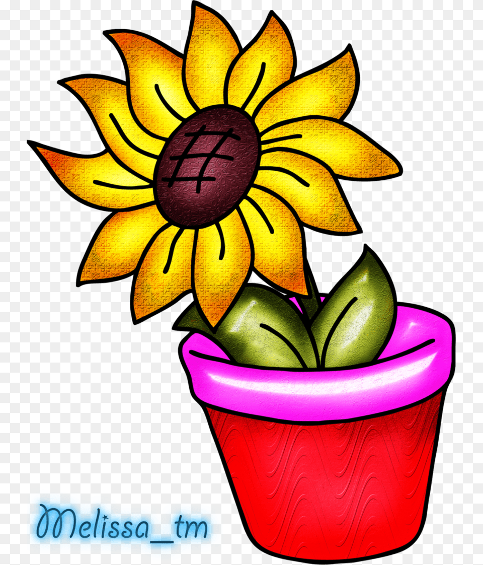Flower Vase Clipart, Petal, Plant, Daisy, Potted Plant Free Transparent Png