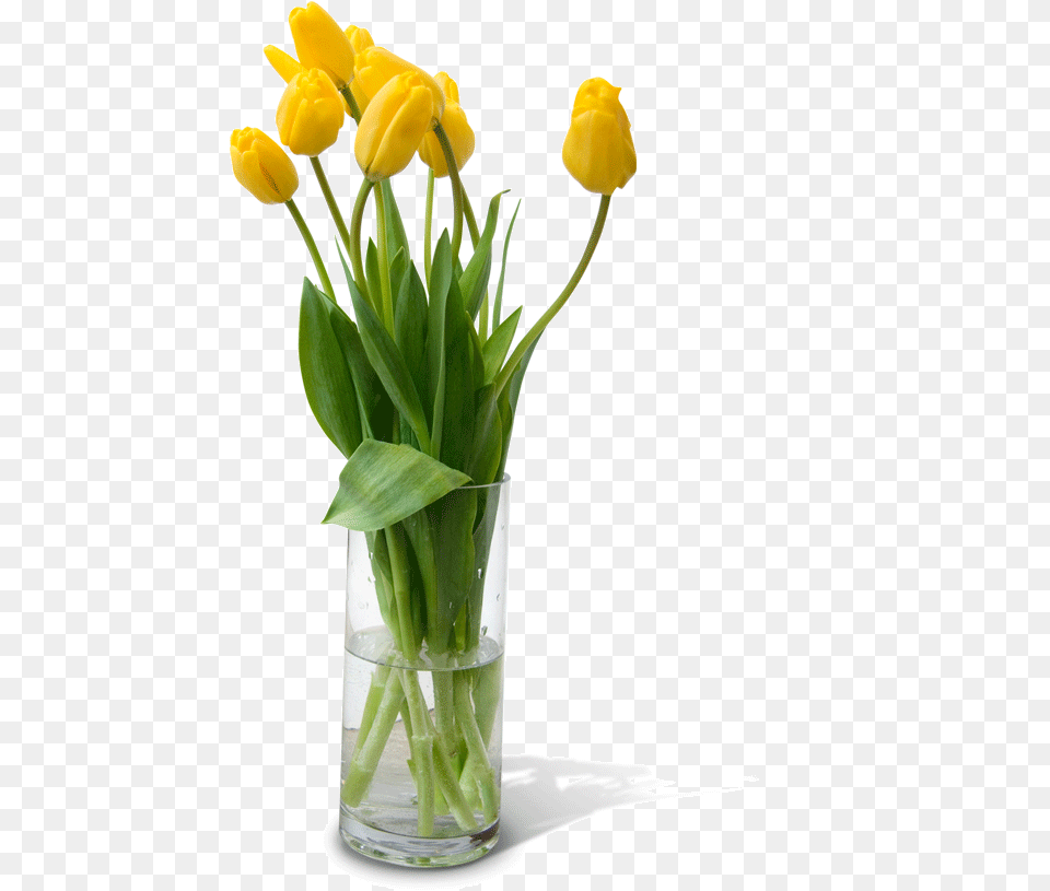 Flower Vase Download Flower Vase, Flower Arrangement, Jar, Plant, Pottery Png Image