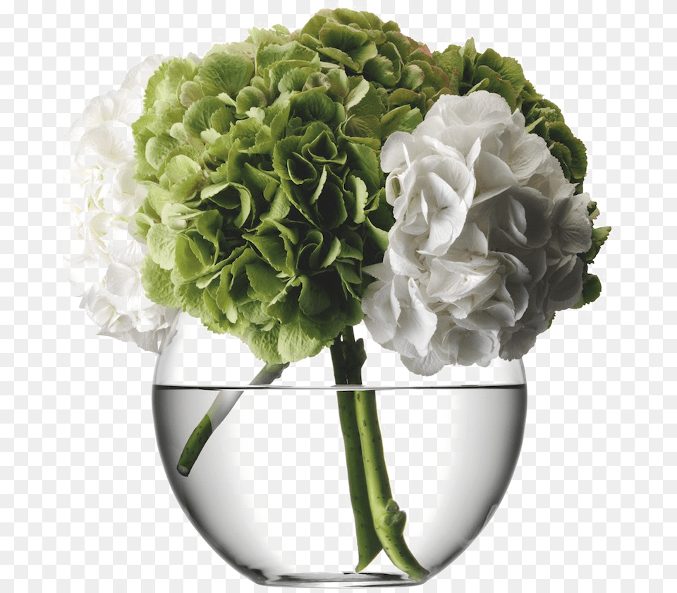 Flower Vase Picture Flowers In Vase, Art, Plant, Pattern, Graphics Free Png