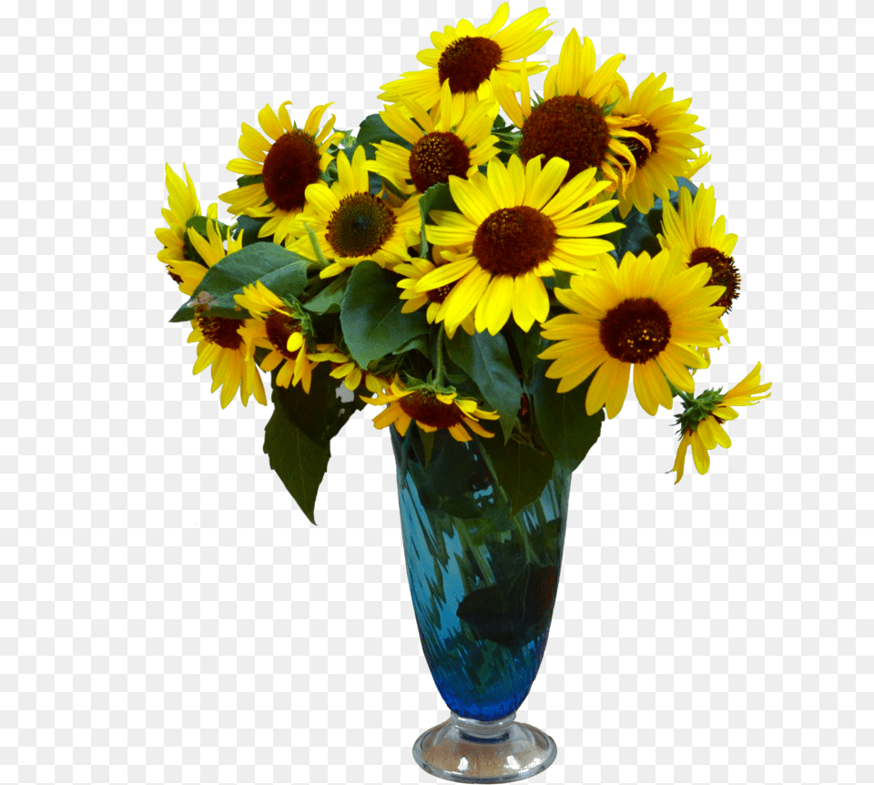 Flower Vase Transparent Background Arts Transparent Flower Vase, Flower Arrangement, Flower Bouquet, Plant, Sunflower Png