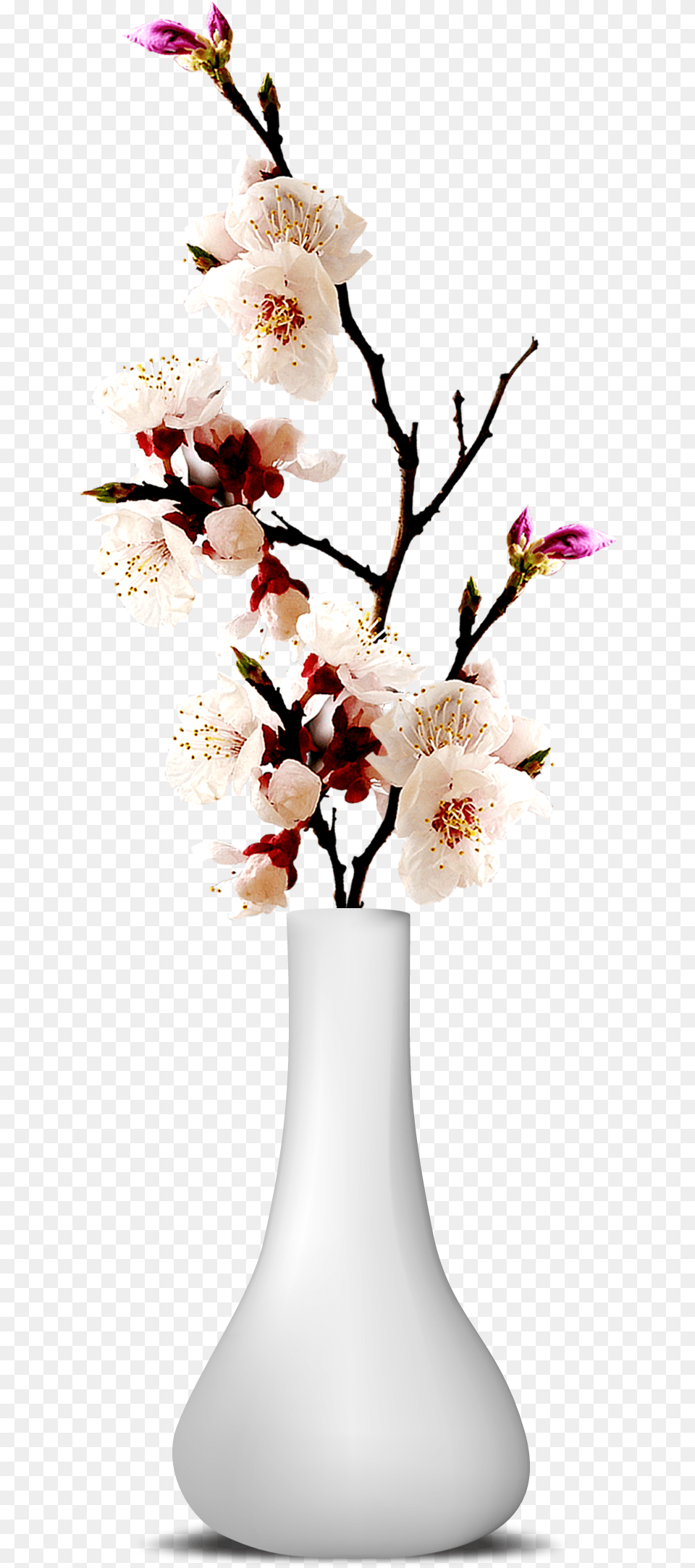 Flower Vase Transparent Image Transparent Flower Vase, Flower Arrangement, Flower Bouquet, Jar, Plant Free Png Download