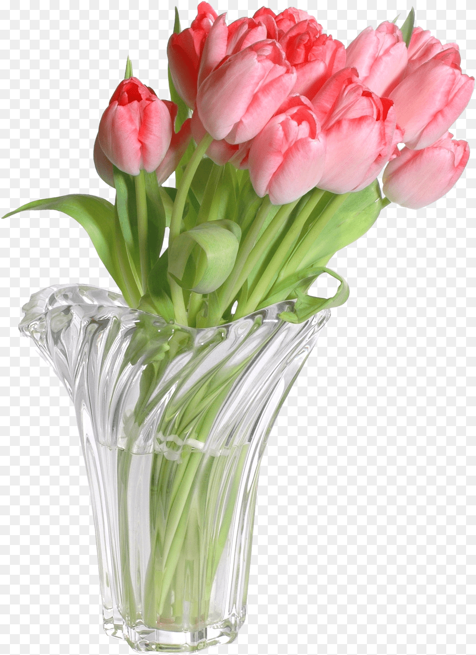 Flower Vases With Bible Verses Flowers In Vase Free Png