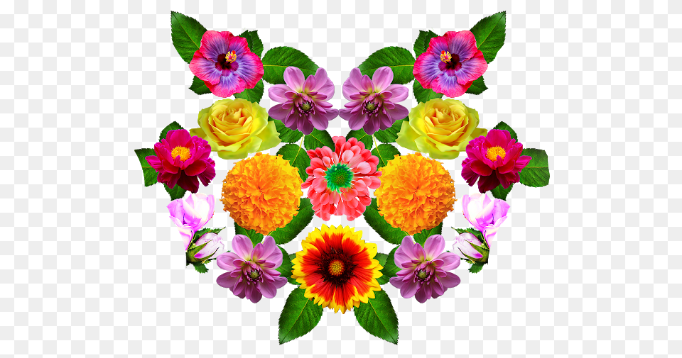 Flower Vector, Flower Arrangement, Art, Dahlia, Plant Free Png Download