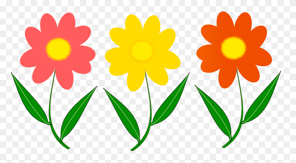 Flower Vector, Daisy, Plant, Petal, Leaf Free Png