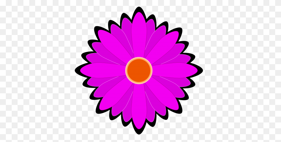 Flower Vector, Dahlia, Daisy, Plant, Petal Free Transparent Png