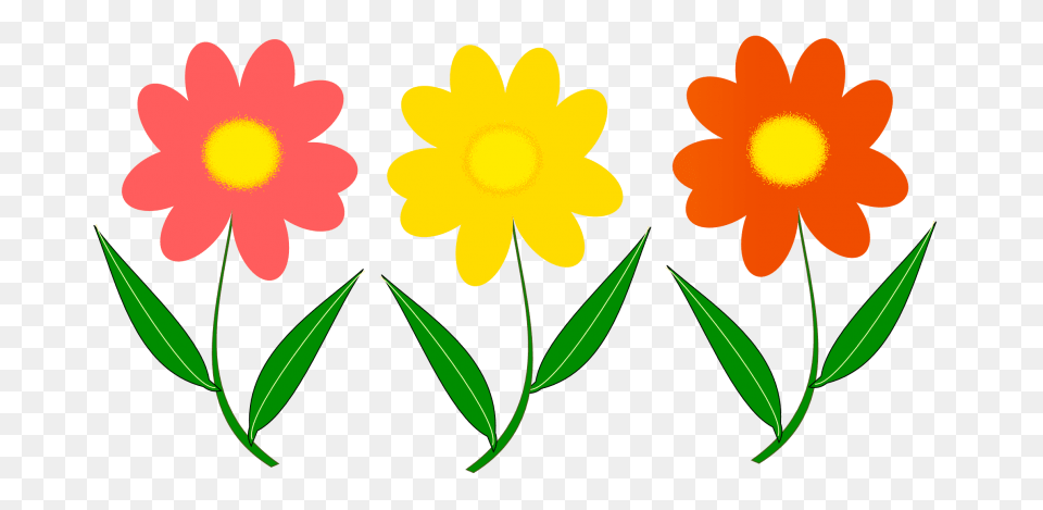 Flower Vector, Daisy, Petal, Plant, Leaf Free Transparent Png