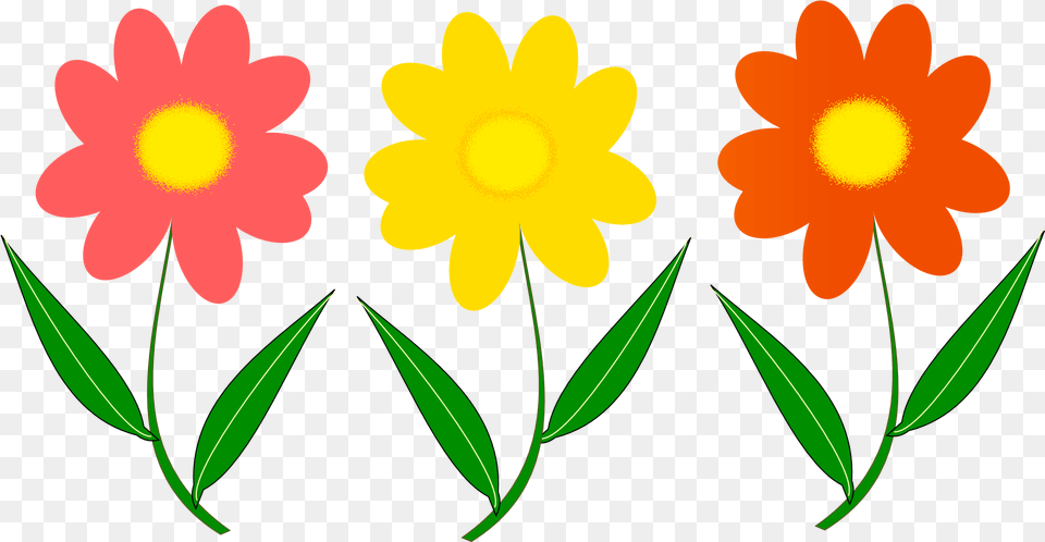 Flower Vector 6 2103 X 1160 Webcomicmsnet Vector Flower, Daisy, Petal, Plant, Leaf Free Png Download