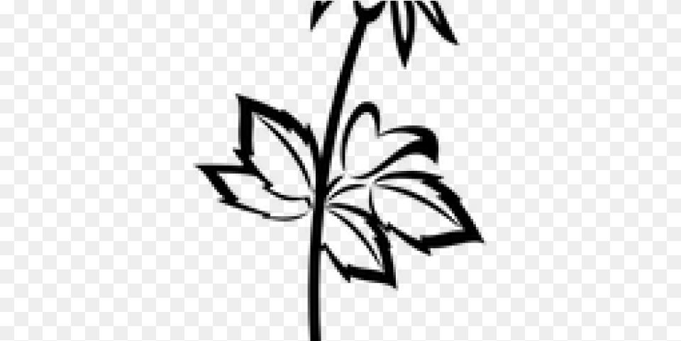 Flower Vector Black, Gray Free Png Download