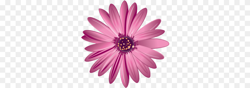 Flower Vector Download Ridgeway Floral, Dahlia, Daisy, Petal, Plant Free Transparent Png