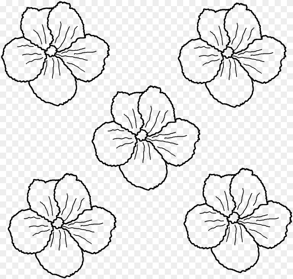 Flower Vector Drawing Photo Gls Spalvinimui, Nature, Night, Outdoors, Lighting Png