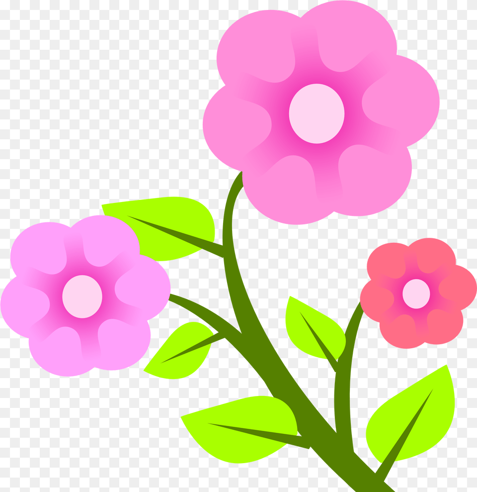 Flower Vector For Free Vector Of Flower, Anemone, Geranium, Petal, Plant Png