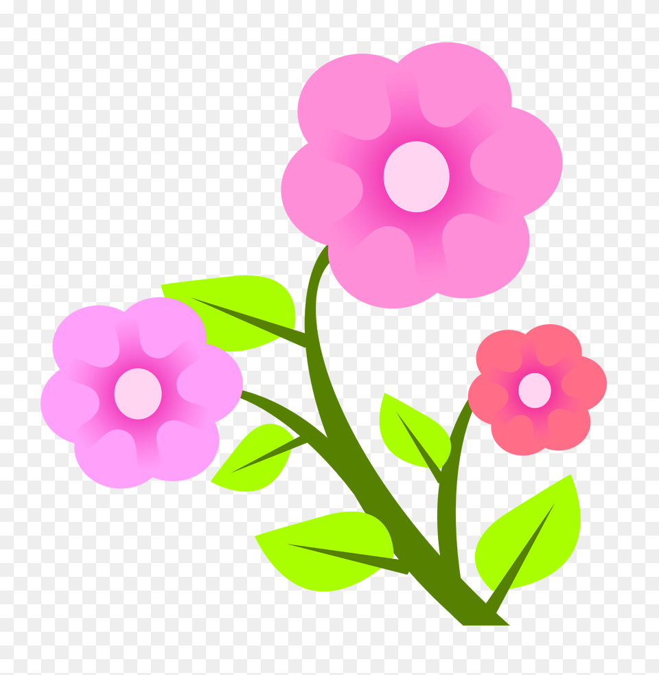 Flower Vector Image, Anemone, Petal, Plant, Geranium Free Png