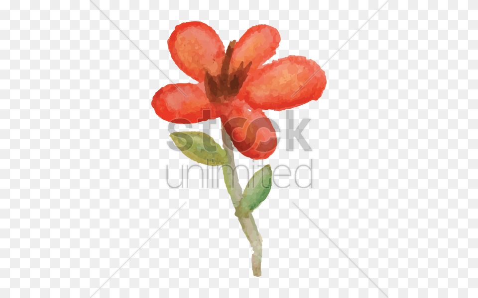 Flower Vector Image, Petal, Plant, Anther, Person Free Png