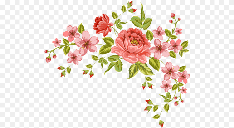 Flower Vector Vintage, Art, Floral Design, Graphics, Pattern Png Image